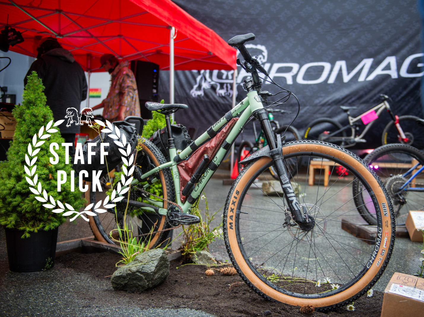 Staff Picks
